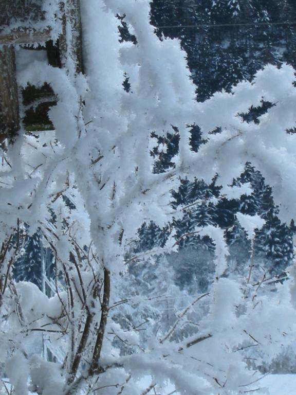 Berghaus Drei Tannen Otel Oetz Dış mekan fotoğraf